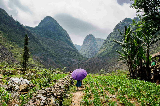 Femme au parapluie village H'Mong Dông Van / Itinérances Photographiques