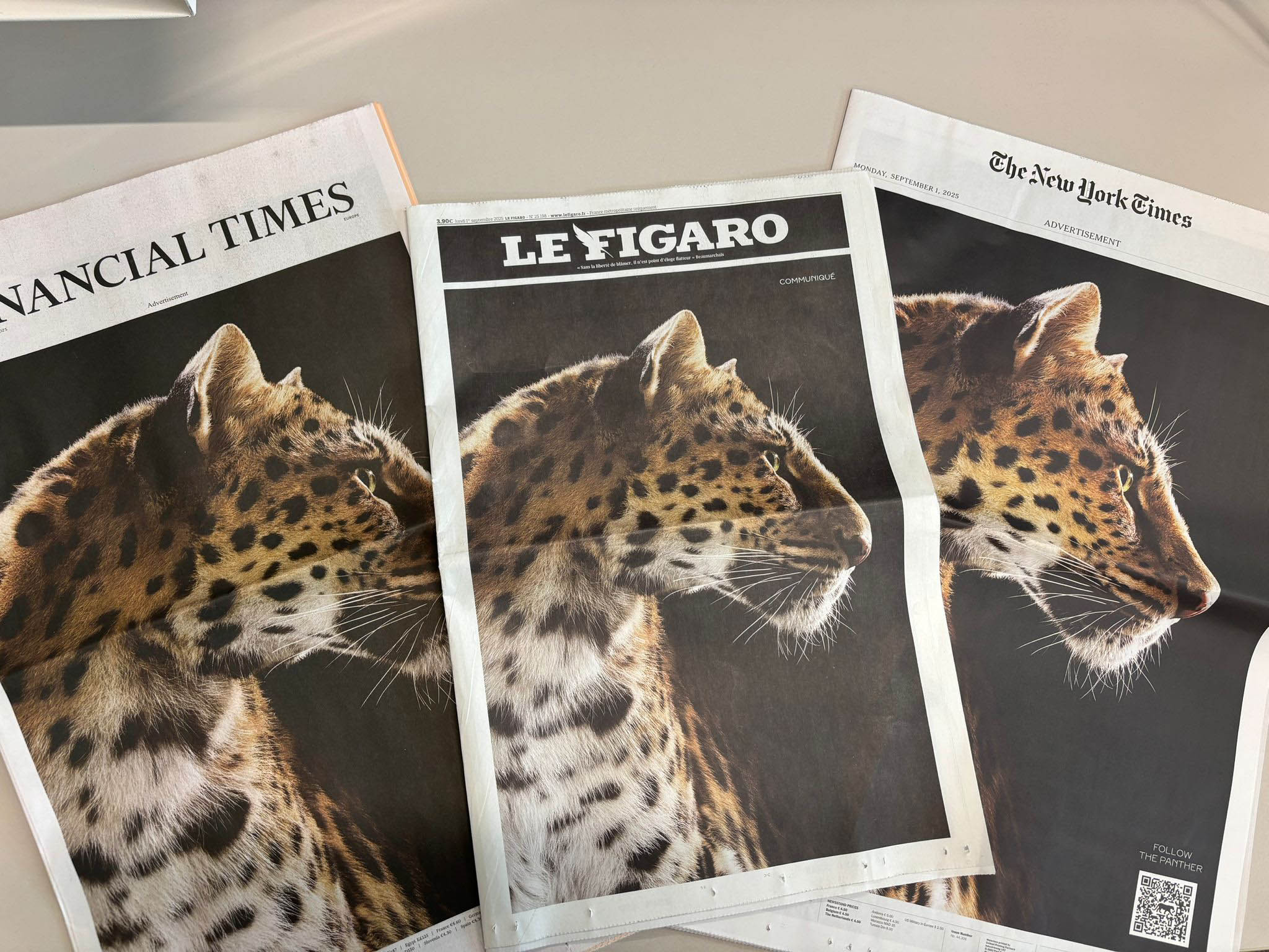 Cartier newspaper copie